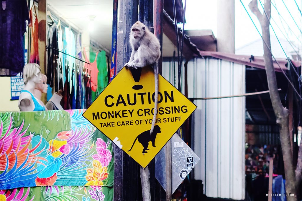 Ubud: Frække aber og Cafe du Monyet – Bali Blog