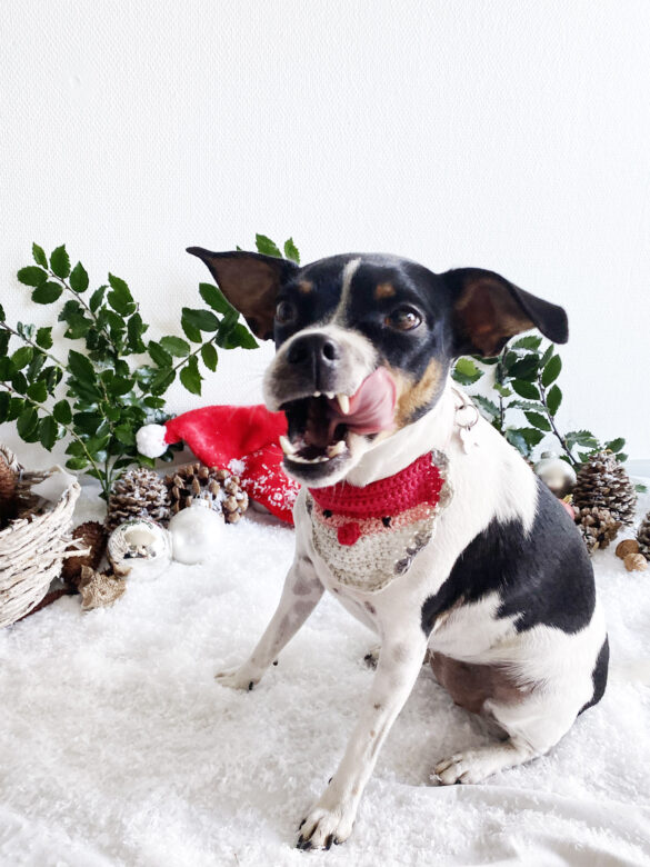 Hæklede julebandaner til hunde