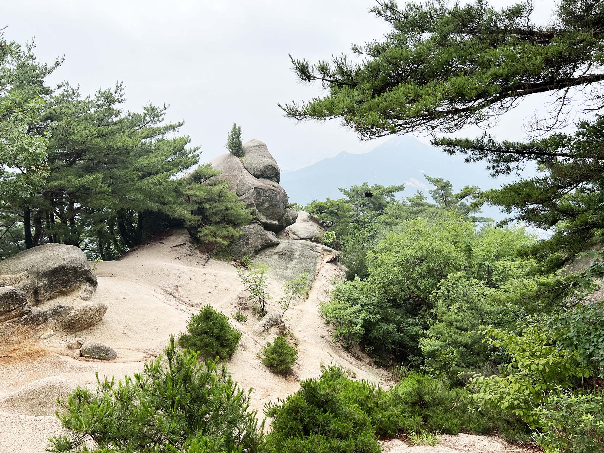 Seoul: Suraksan - På bjergvandring i Sydkorea
