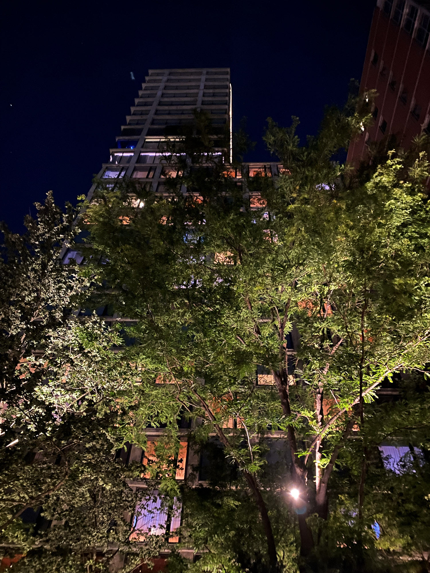 New York: En aften i byen på Public - Popular og The Roof