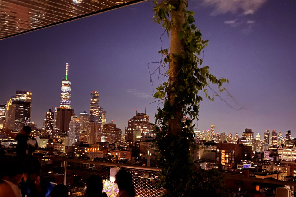New York: En aften i byen på Public - Popular og The Roof