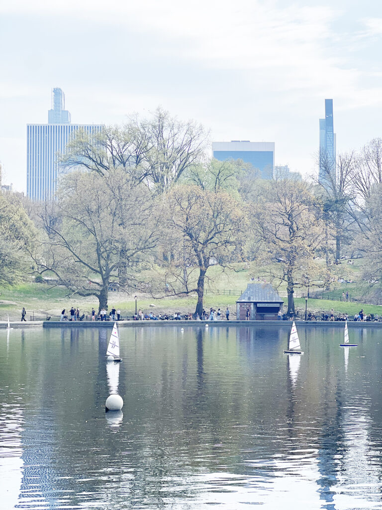 New York Blog picnic i Central Park