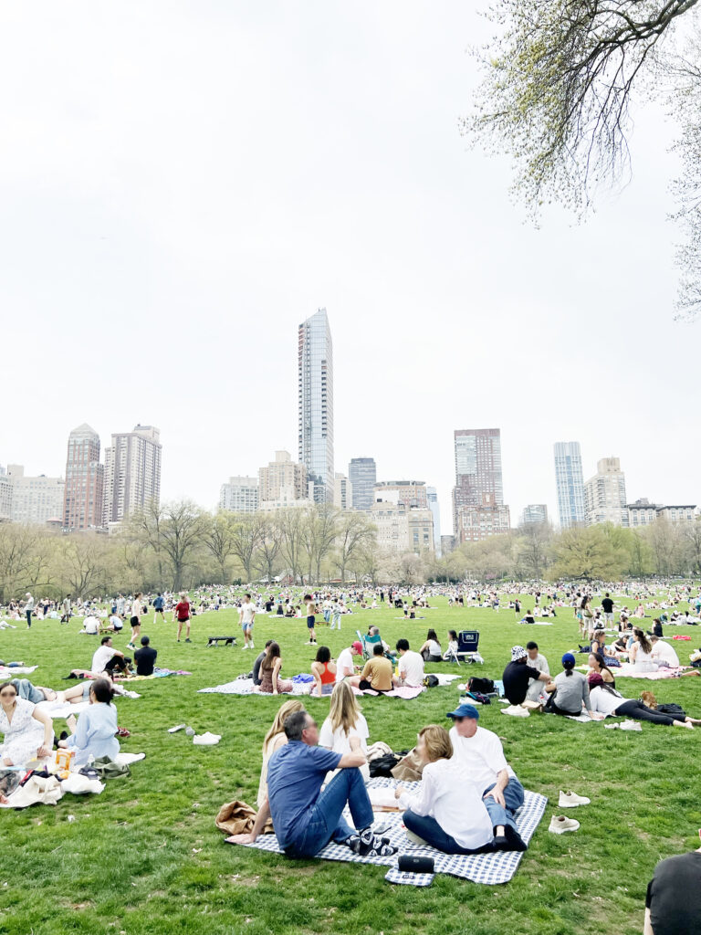 New York Blog picnic in Central Park
