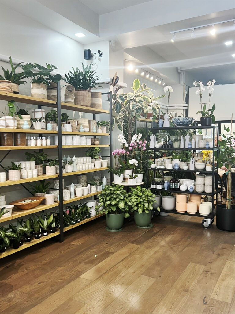 New York: PlantShed i East Village