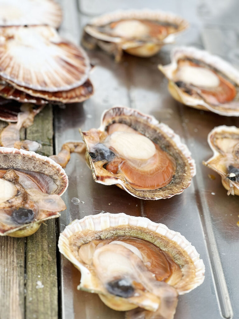 Kristian og AC bor lige ned til fjorden, og i dag var der bid. Kristian havde været ude og dykke og kom op med de smukkeste kammuslinger, som selvfølgelig fik lov til at spille hovedrollen i aftenens pastaret. Han havde også fanget en lille pighvar, og i fryseren lå der nogle rejer. Det hele røg på panden og resultatet blev den her virkelig gode og simple pasta med alt godt fra havet.Retten tager udgangspunkt i det, der lige er ved hånden, så brug hvad du har tilgængeligt. Blåmuslinger ville også fungere udmærket og har du ikke friskfanget pighvar fungerer det også fint med andre slags hvidfisk fra fiskehandleren eller supermarkedet.