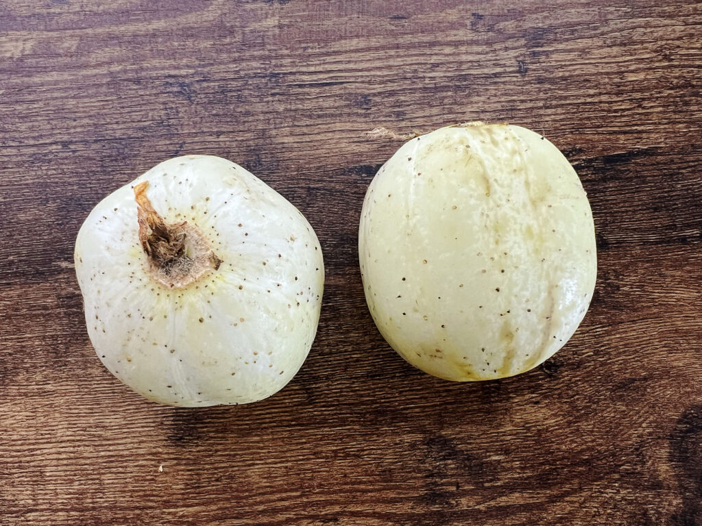 Seattle: Citronagurker (lemon cucumber) frisk fra markedet