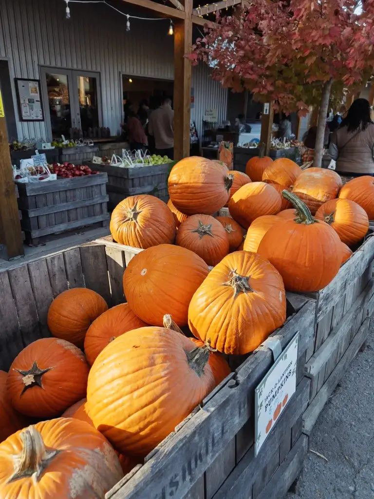 Fishkill Farms New York