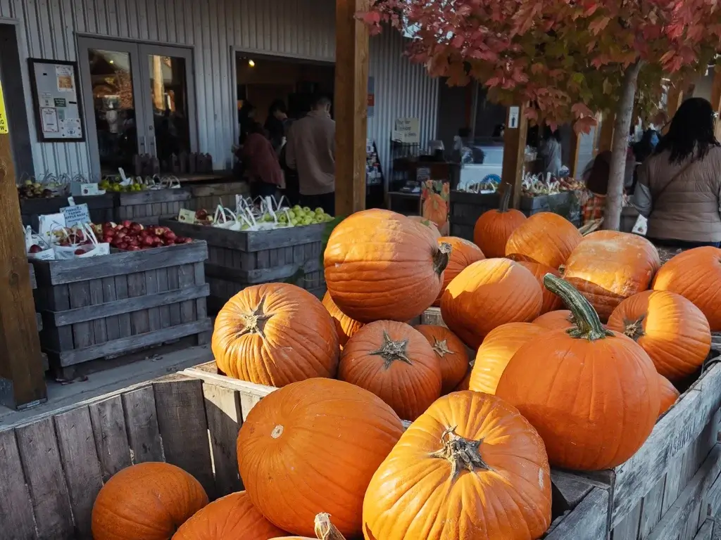 Fishkill Farms New York