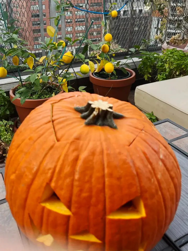 Min Guide til Græskarudskæring - Sådan skærer du det perfekte græskarhoved