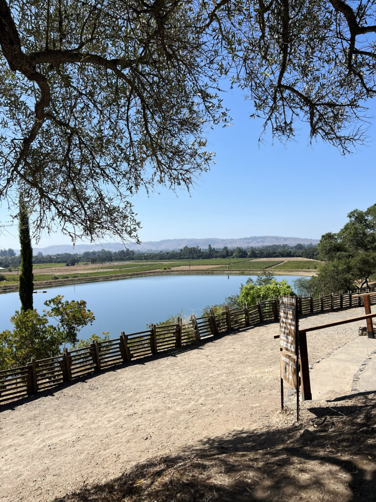 California: En eftermiddag på Gundlach Bundschu Winery i Sonoma