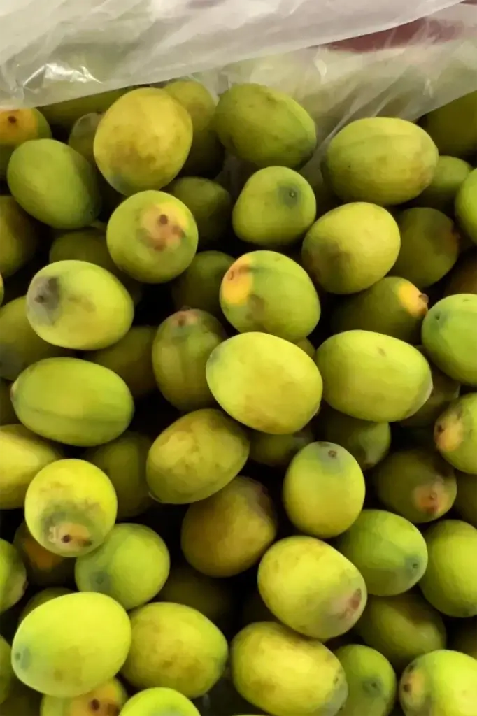 Cambodia: Friske lotusfrø - En lækker snack